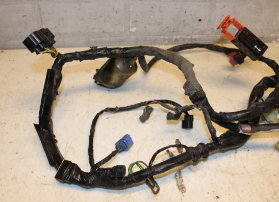 Kabelboom Honda CBF 500