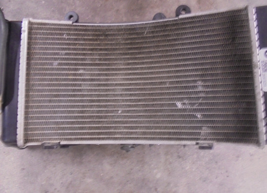 Radiateur BMW F 850 GS