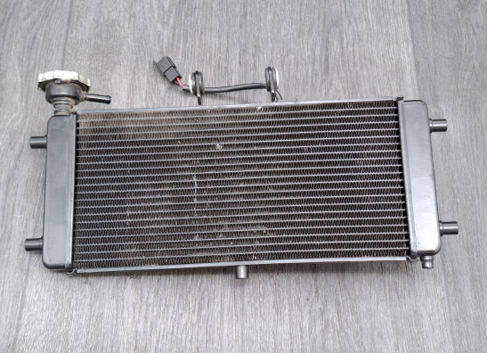 Radiateur Caballero - Fantic Deluxe 125