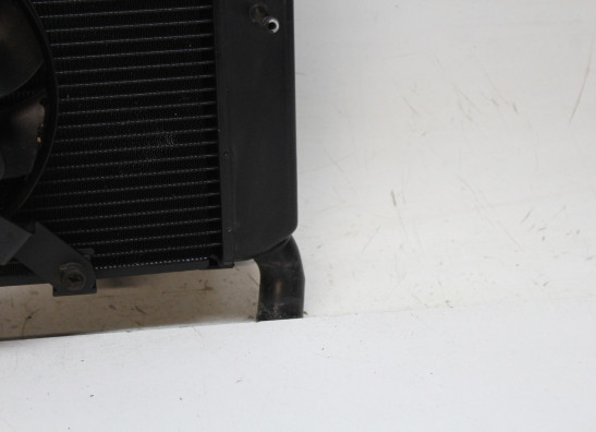 Radiateur Yamaha XJ 6 N