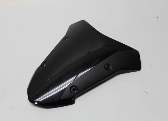 Wind screen Kawasaki Z H2