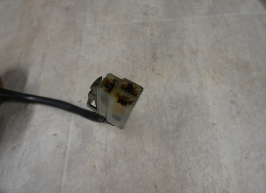 Dynamo Triumph 955 daytona