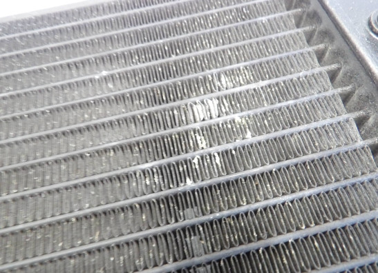 Radiateur Kawasaki Vulcan 2000