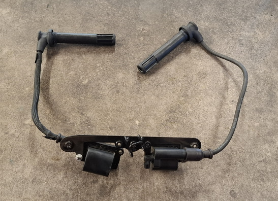 Bobine Ducati Monster 821