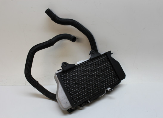 Radiateur Honda CRF 1100 Africa Twin