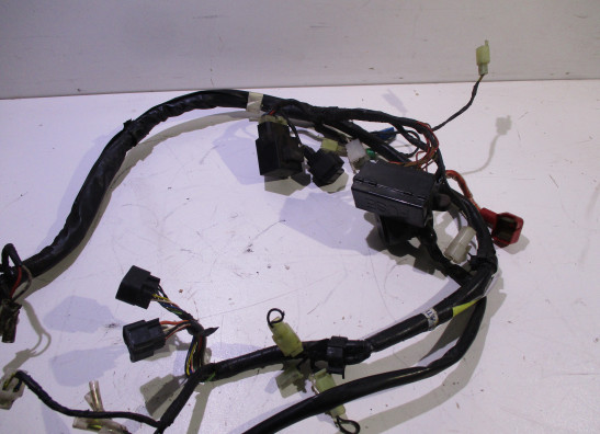 Kabelboom Yamaha FAZER 600