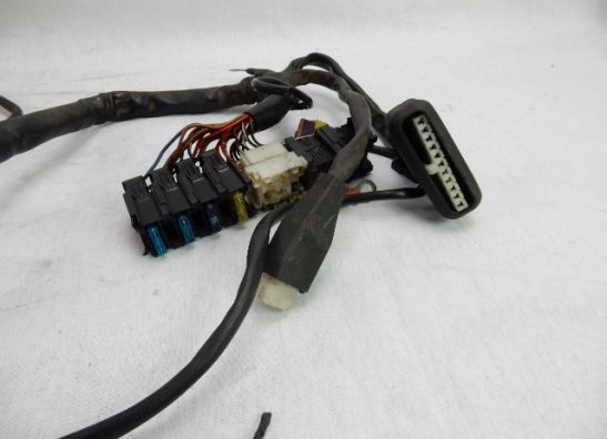 Kabelboom Moto Guzzi Nevada 750