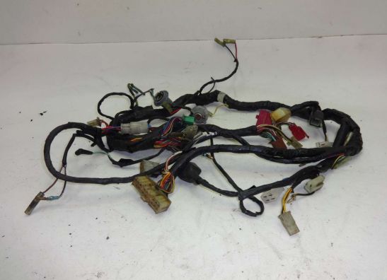 Kabelbaum Kawasaki GPZ 900