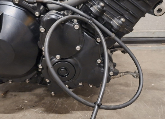 Motorblok Triumph Tiger 1050