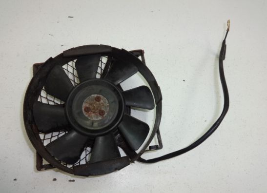 Fan Suzuki VX 800