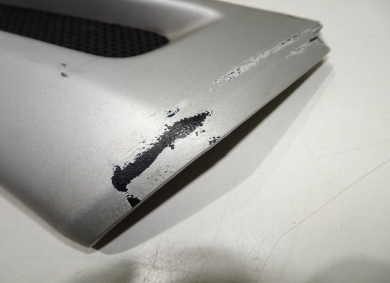 Voorspatbord BMW R 1100 GS