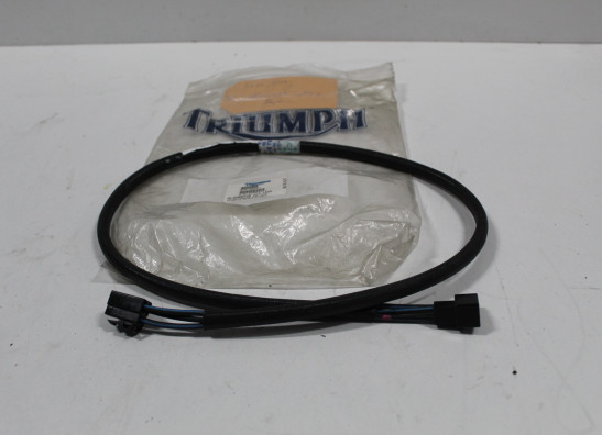 Stator Triumph 955 daytona