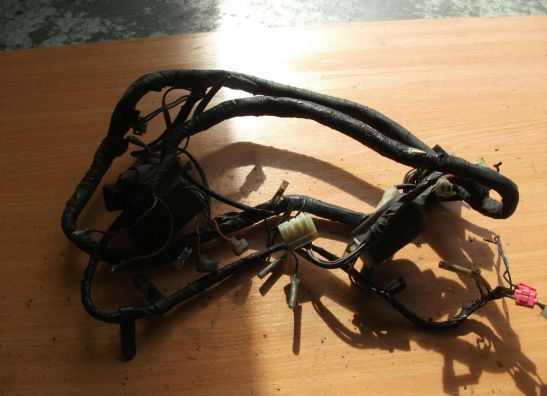 Kabelbaum Yamaha TDM