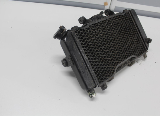 Radiateur Yamaha TDM