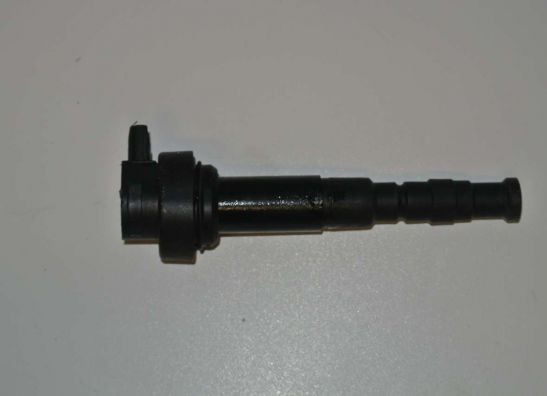 Bobine BMW F 700 GS