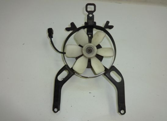 Fan Kawasaki GPX 600