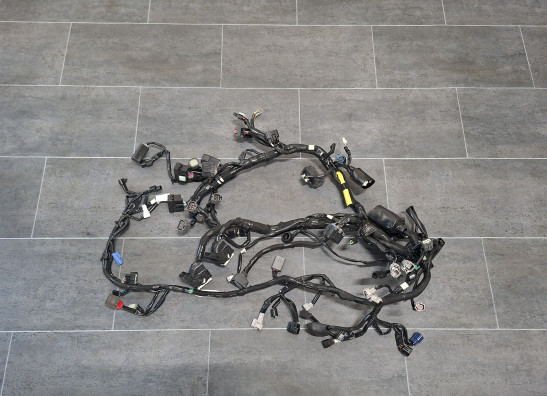 Kabelbaum Kawasaki Z H2