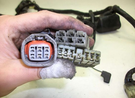 Kabelbaum Yamaha TDM