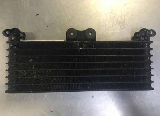 Olkuhler Honda CBR 1100 XX