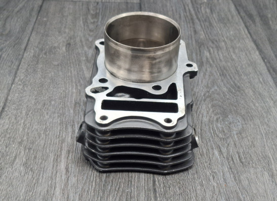 Cilinderblok Kawasaki VN 800