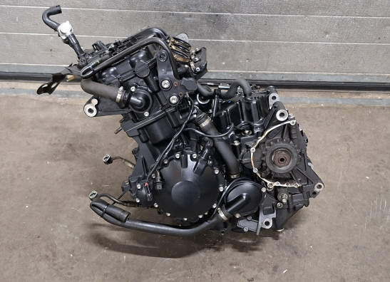 Motorblok Triumph Tiger 1050