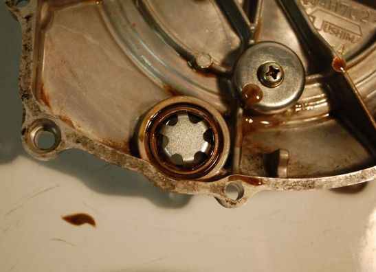 Engine cover Yamaha XJ 900 F