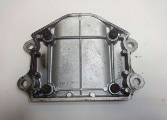 Voorspatbord Suzuki GSX F 1100