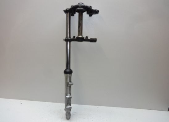 Voorpoot links compleet Kawasaki Z 250