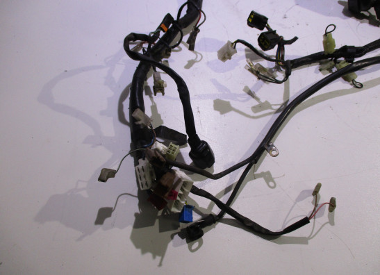 Kabelboom Yamaha FAZER 600