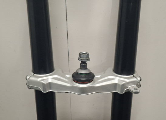 Voorpoten compleet BMW R 1250 GS