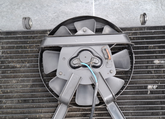 Radiator Yamaha FZR 1000