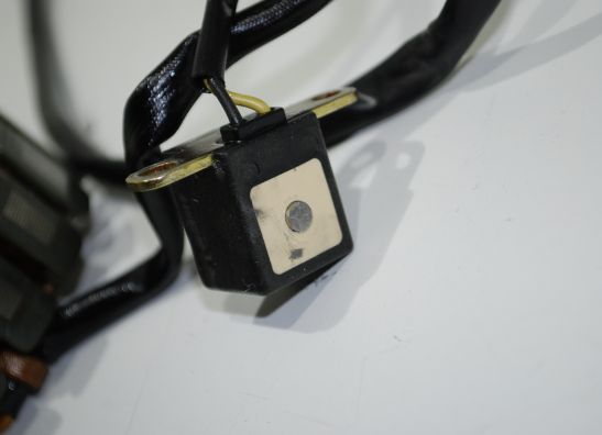 Dynamo Kawasaki ER 5