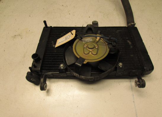 Kuhler Yamaha FZR 600