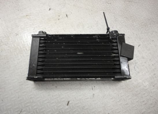 Oliekoeler Cagiva W16 600