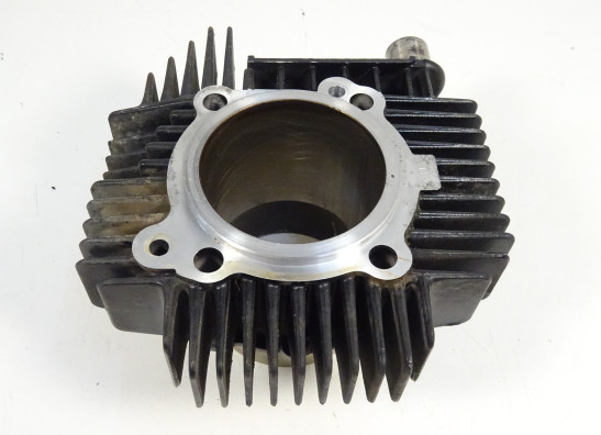 Cilinderblok Ducati monster 600