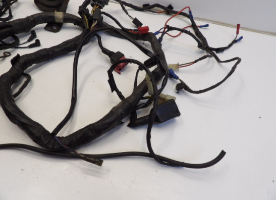 Wire Harness Kawasaki ZZR 1100