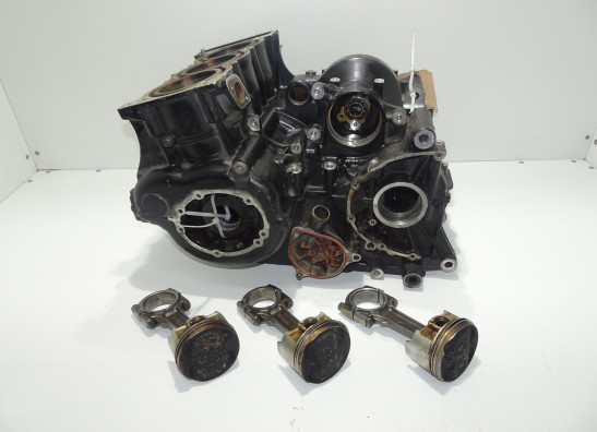 Engine parts Triumph Tiger 900