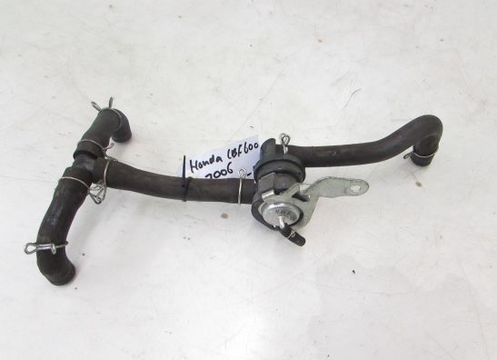 Motorblock Sonstiges Honda CBF 600