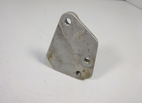 Schetsplaat links Ducati Paso