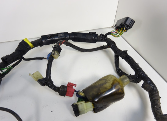 Wire Harness Honda CBF 500