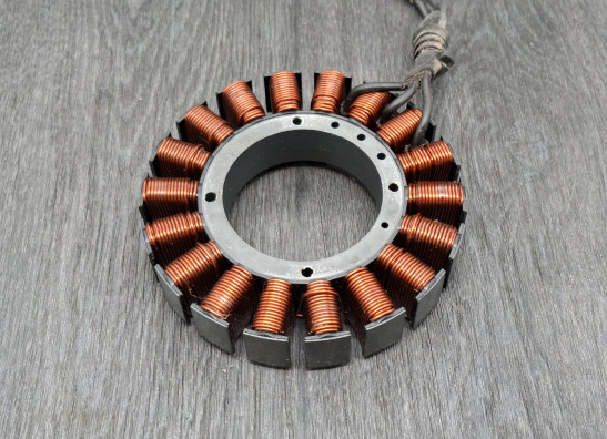 Dynamo Harley Davidson Touring FL