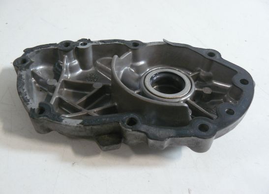 Engine cover Triumph TT 600