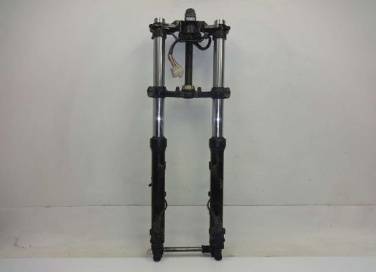 Gabelholm Komplett Kawasaki GPZ 600