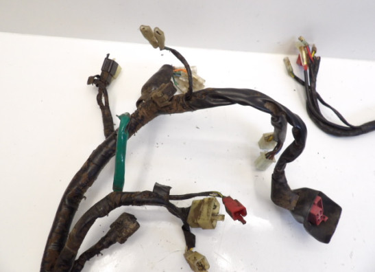 Kabelboom Honda VT 800 C Shadow