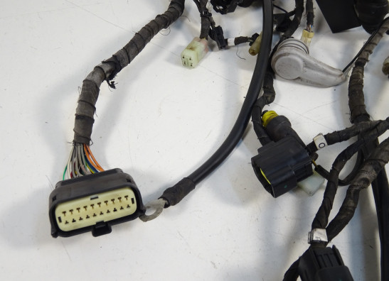 Wire Harness Ducati monster 696