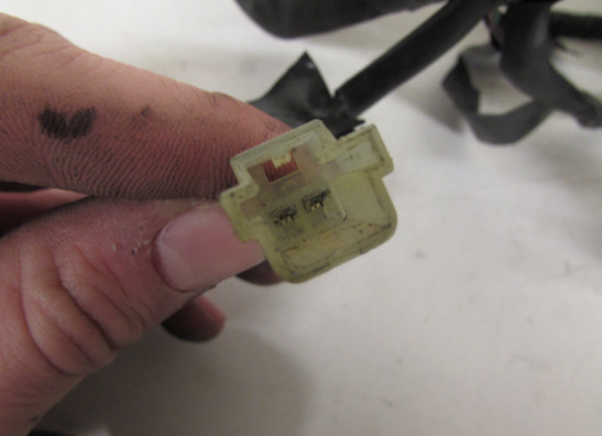 Kabelbaum Yamaha YZF R1