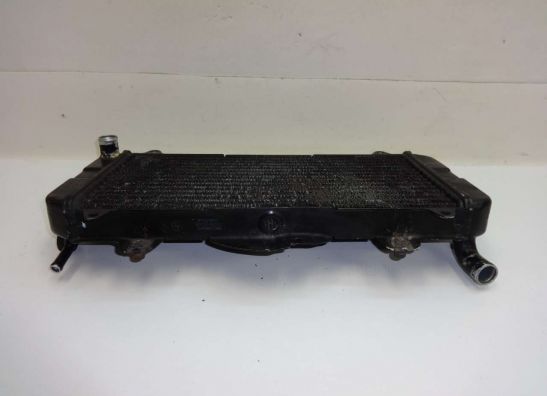 Kuhler Yamaha FZR 600