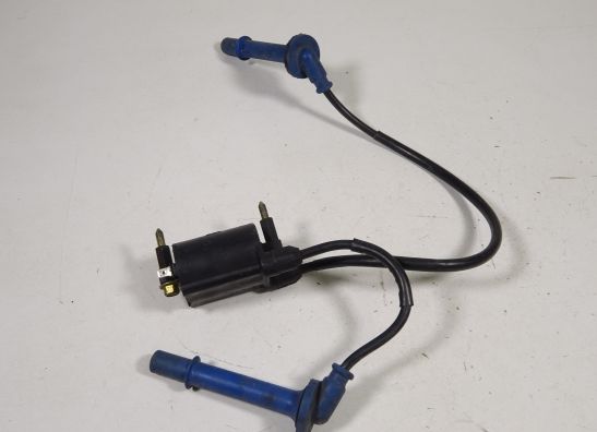 Bobine Honda Overige Honda