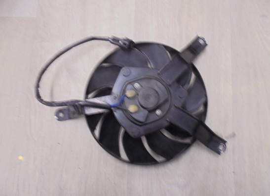 Fan Kawasaki Z 900
