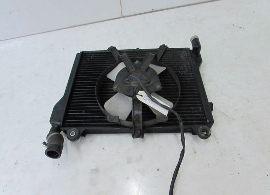 Radiator Kawasaki GPZ 1100